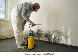 Reliable Dunlap, OH Mold Inspection Solutions